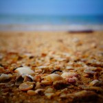 View full image