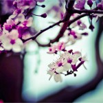View full image